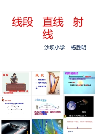 线段---直线---射线