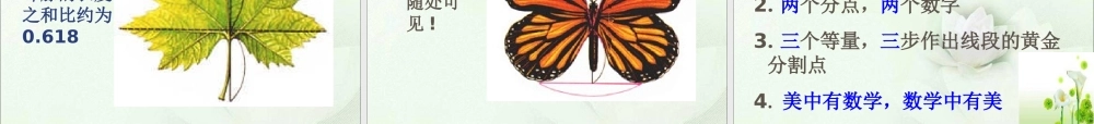 3.1.2--黄金分割