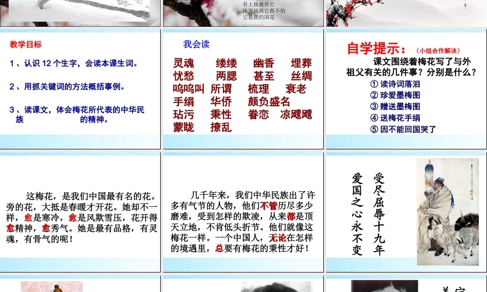 梅花魂ppt课件[1]