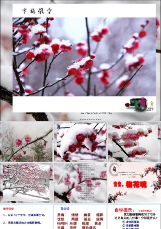 梅花魂ppt课件[1]