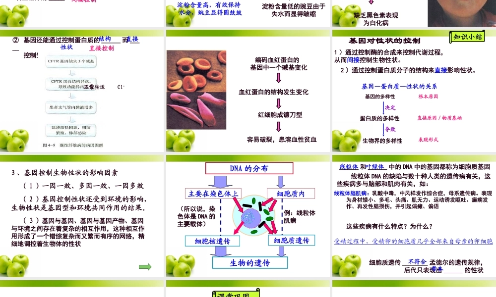 必修二.4.2.基因对性状的控制