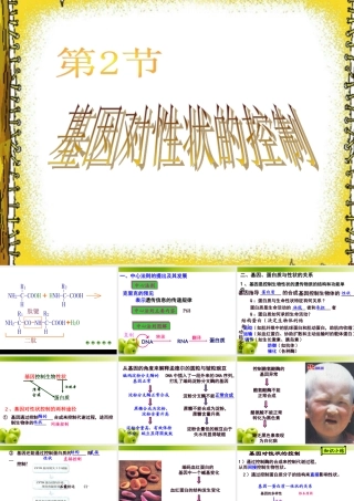 必修二.4.2.基因对性状的控制