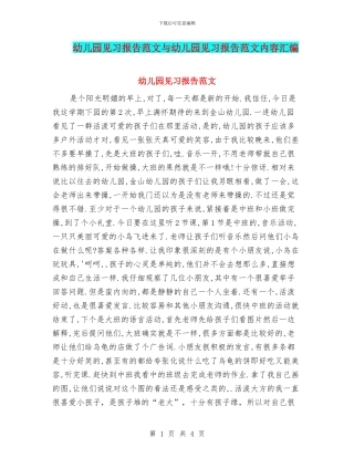 幼儿园见习报告范文与幼儿园见习报告范文内容汇编