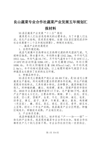良山蔬菜专业合作社蔬菜产业发展五年规划汇报材料 