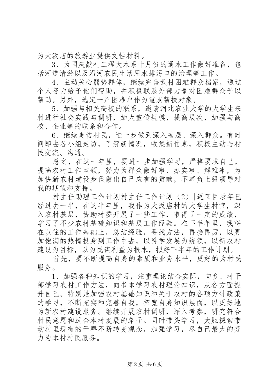 村主任工作计划4篇_第2页