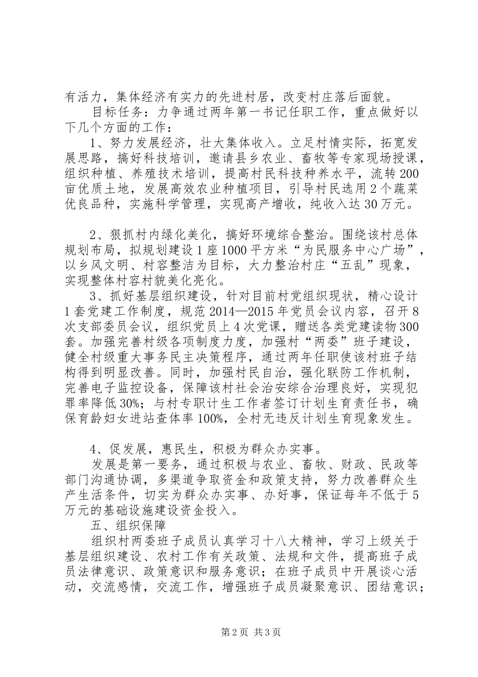 村第一书记任职规划计划 _第2页