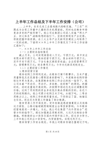 上半年工作总结及下半年工作安排（公司） 
