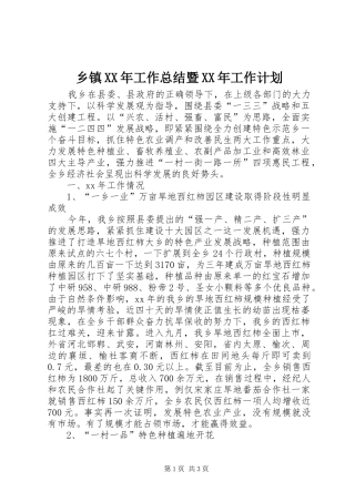 乡镇XX年工作总结暨XX年工作计划 