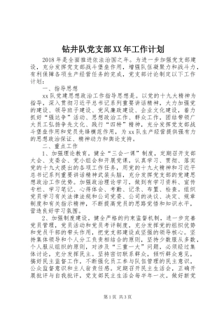 钻井队党支部XX年工作计划 