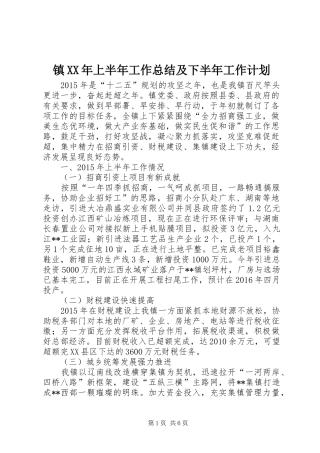镇XX年上半年工作总结及下半年工作计划 