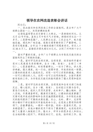 领导在农网改造表彰会讲话