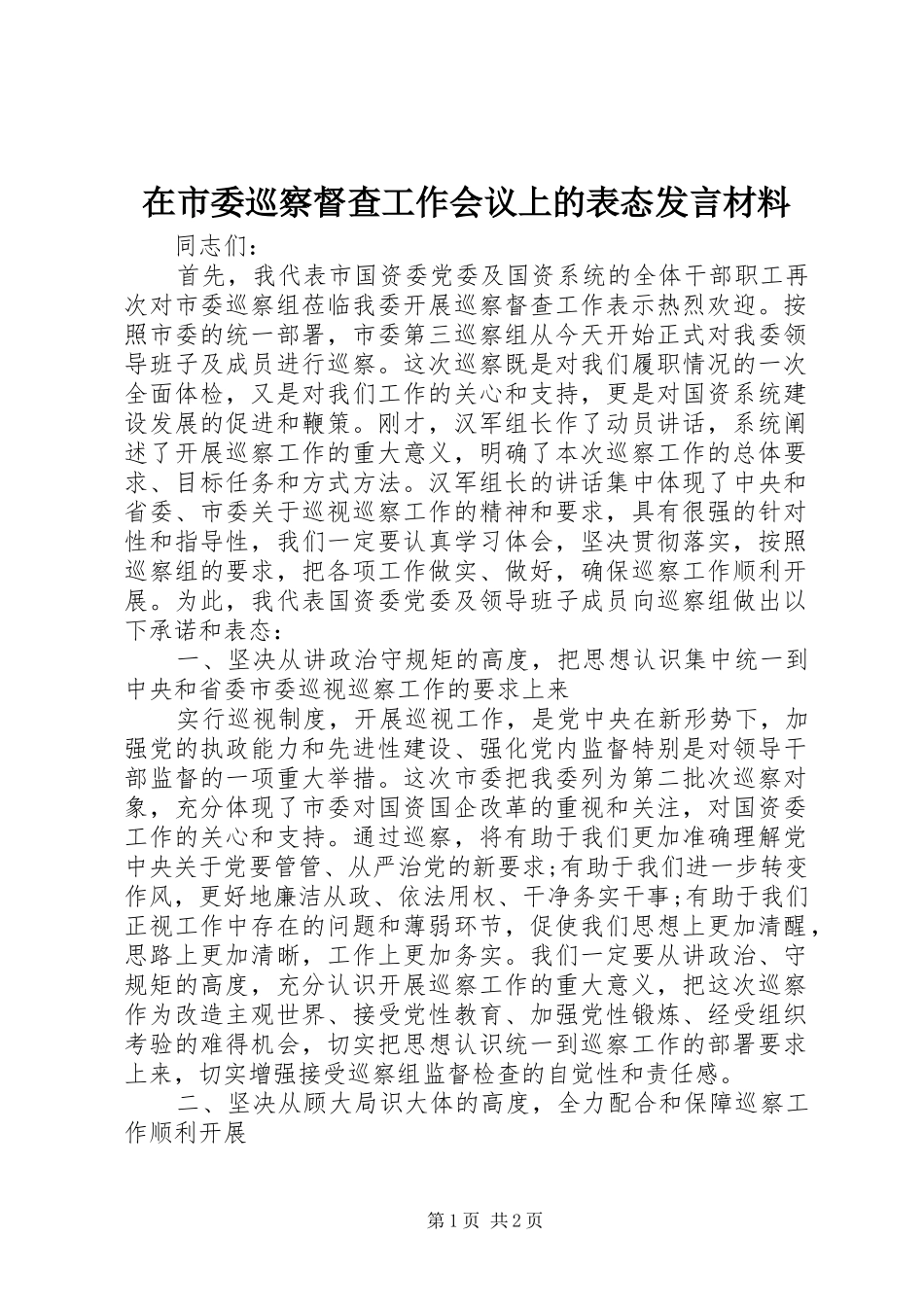 在市委巡察督查工作会议上的表态发言材料_第1页