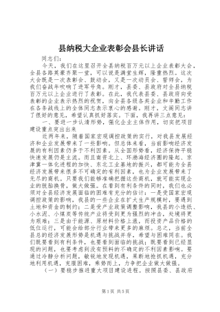县纳税大企业表彰会县长讲话