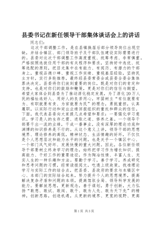 县委书记在新任领导干部集体谈话会上的讲话