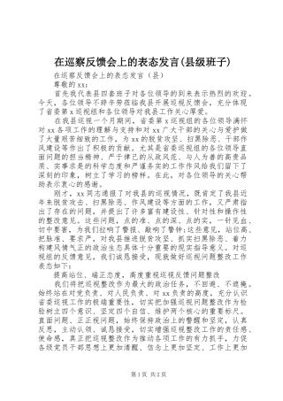 在巡察反馈会上的表态发言(县级班子)