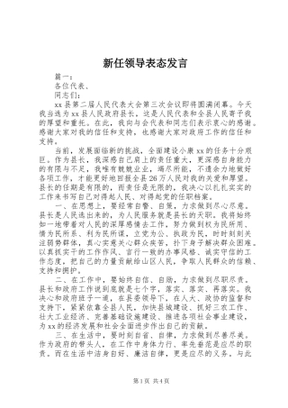 新任领导表态发言