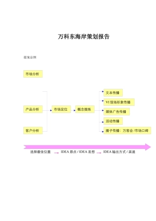 某地产某某岸策划报告