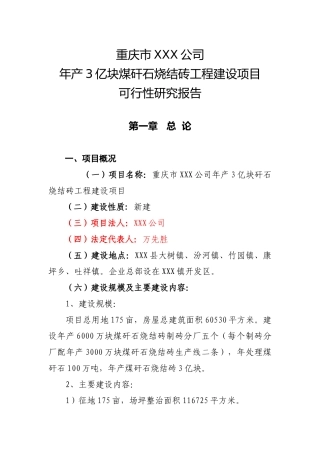 煤矸石烧结砖工程可研报告