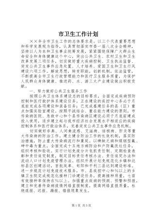 市卫生工作计划 