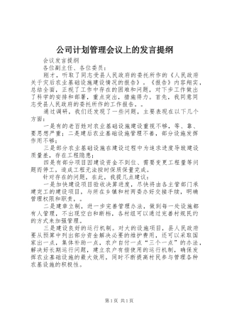 公司计划管理会议上的发言提纲 