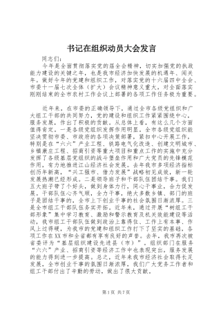 书记在组织动员大会发言