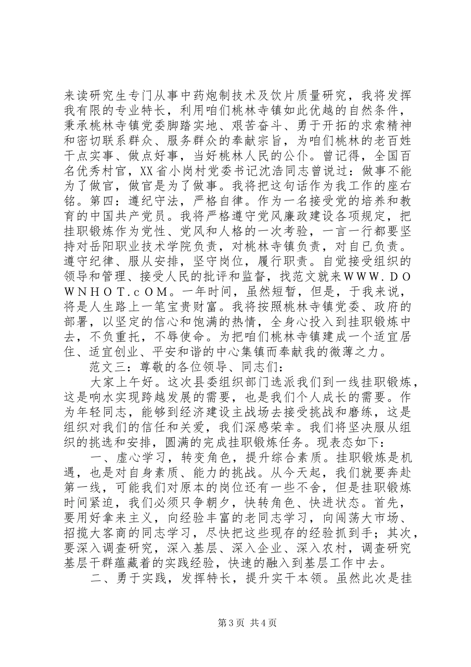 挂职锻炼发言稿_第3页