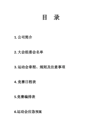 中国平安保险公司运动会秩序册