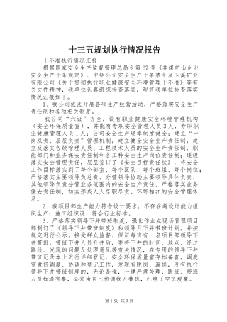 十三五规划执行情况报告 