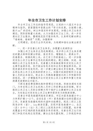 年全市卫生工作计划安排 