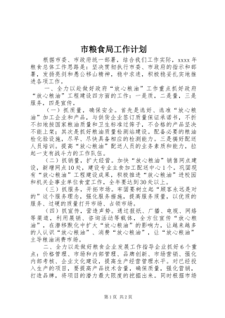 市粮食局工作计划 