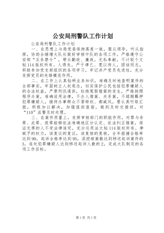 公安局刑警队工作计划 