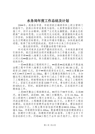 水务局年度工作总结及计划 
