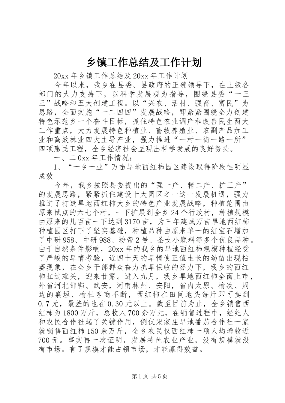 乡镇工作总结及工作计划 _第1页