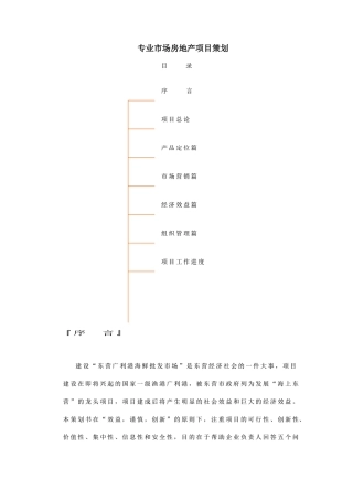 专业市场房地产项目策划(DOC61页)