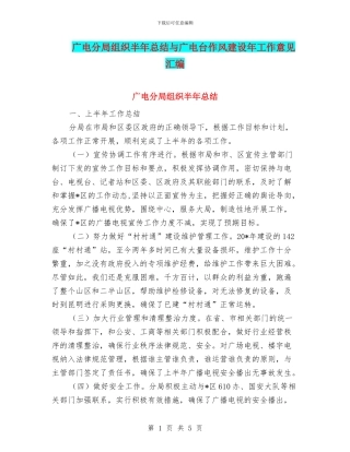 广电分局组织半年总结与广电台作风建设年工作意见汇编