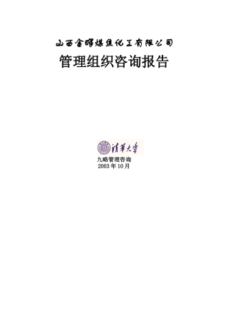 某化工管理组织咨询报告