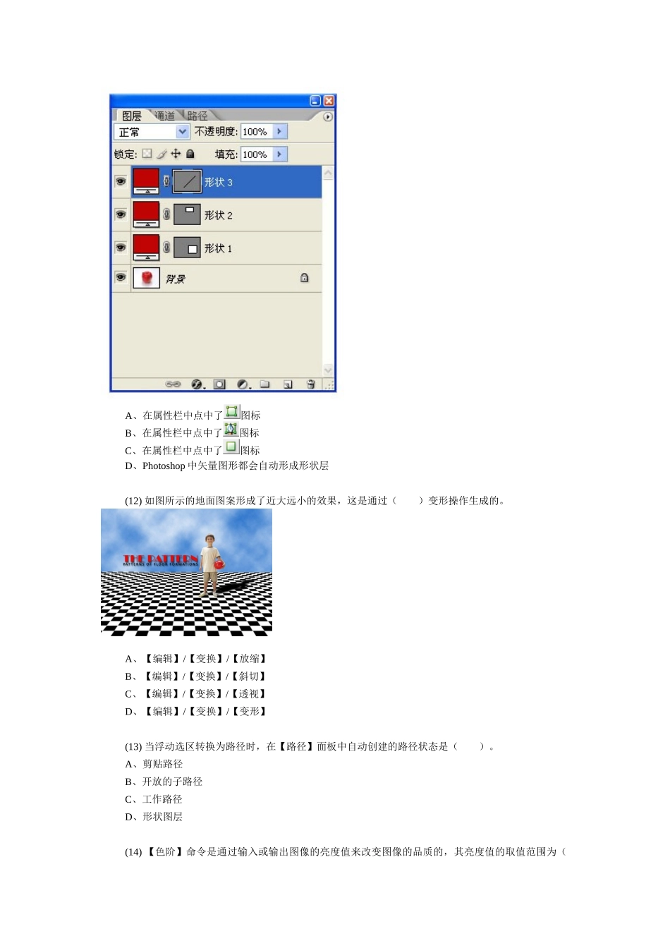 全国ITAT教育工程就业技能大赛预赛试题 Photoshop平面设计_第3页