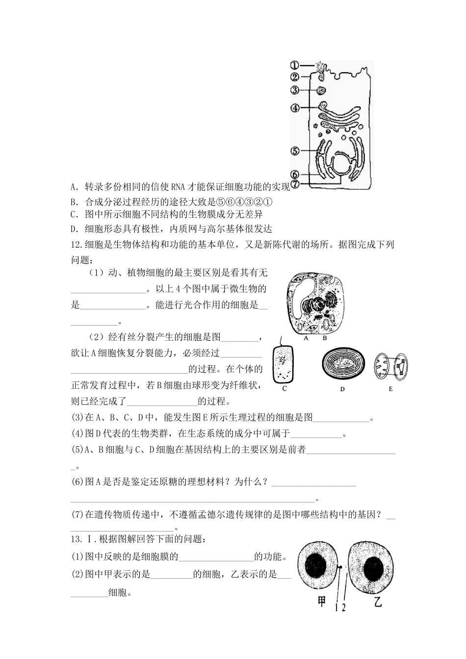 4、细胞生物膜系统（选修教材）_第3页