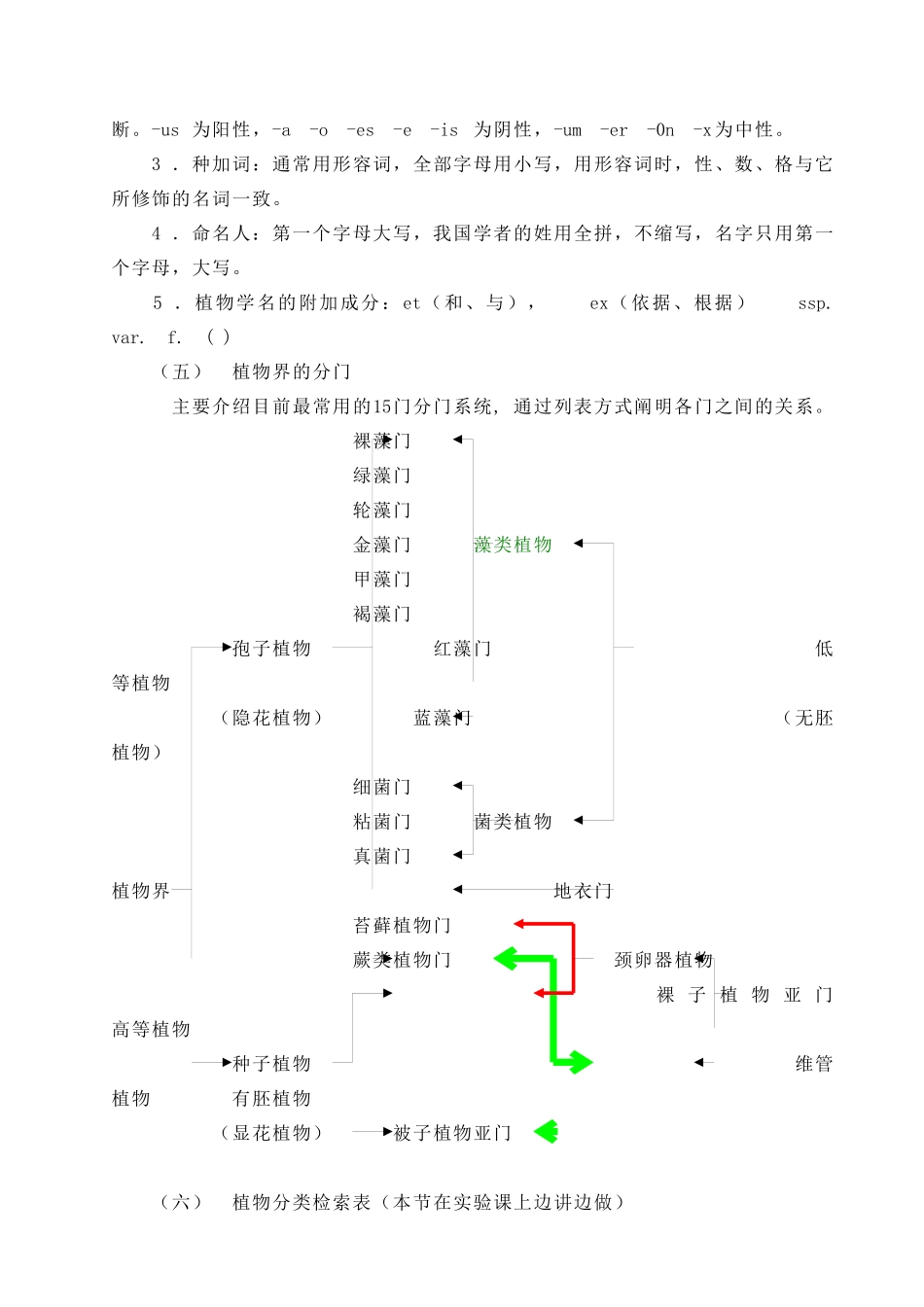 药用植物学3_第3页