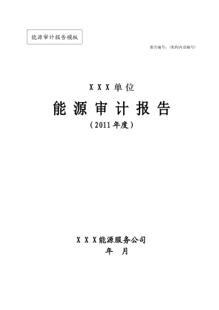 XXXX年能源审计报告模本(最终)