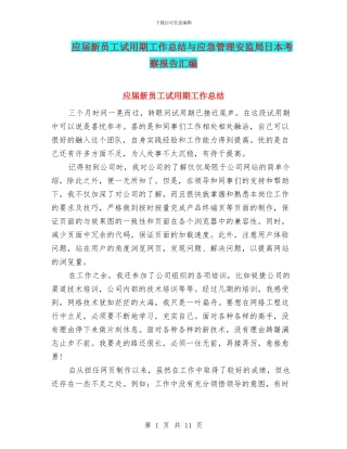 应届新员工试用期工作总结与应急管理安监局日本考察报告汇编