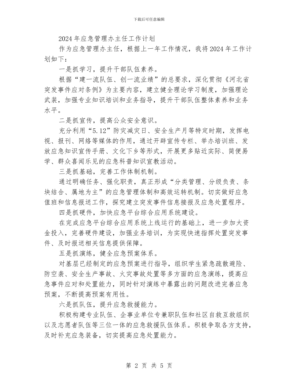 应急管理办主任工作计划_第2页