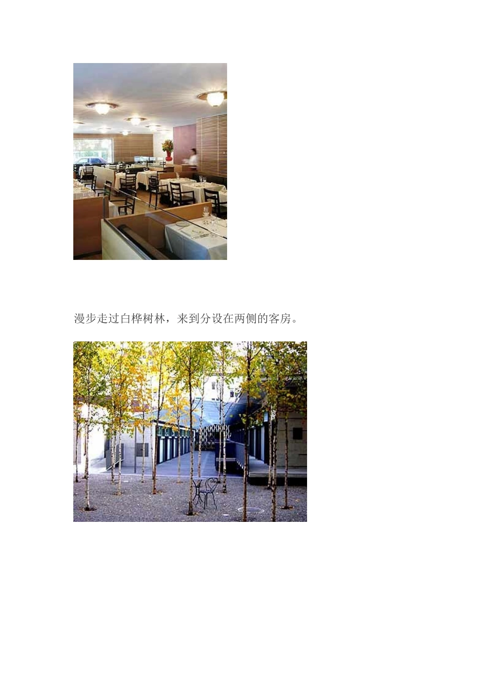 酒店设计案例介绍doc7(1)_第3页