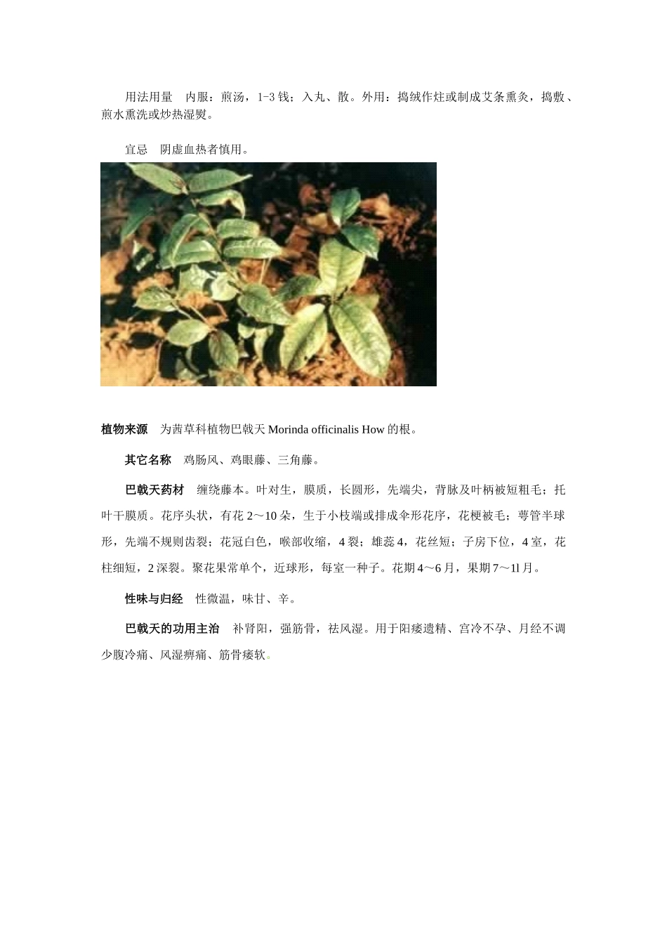 100种中草药彩色图谱_第2页