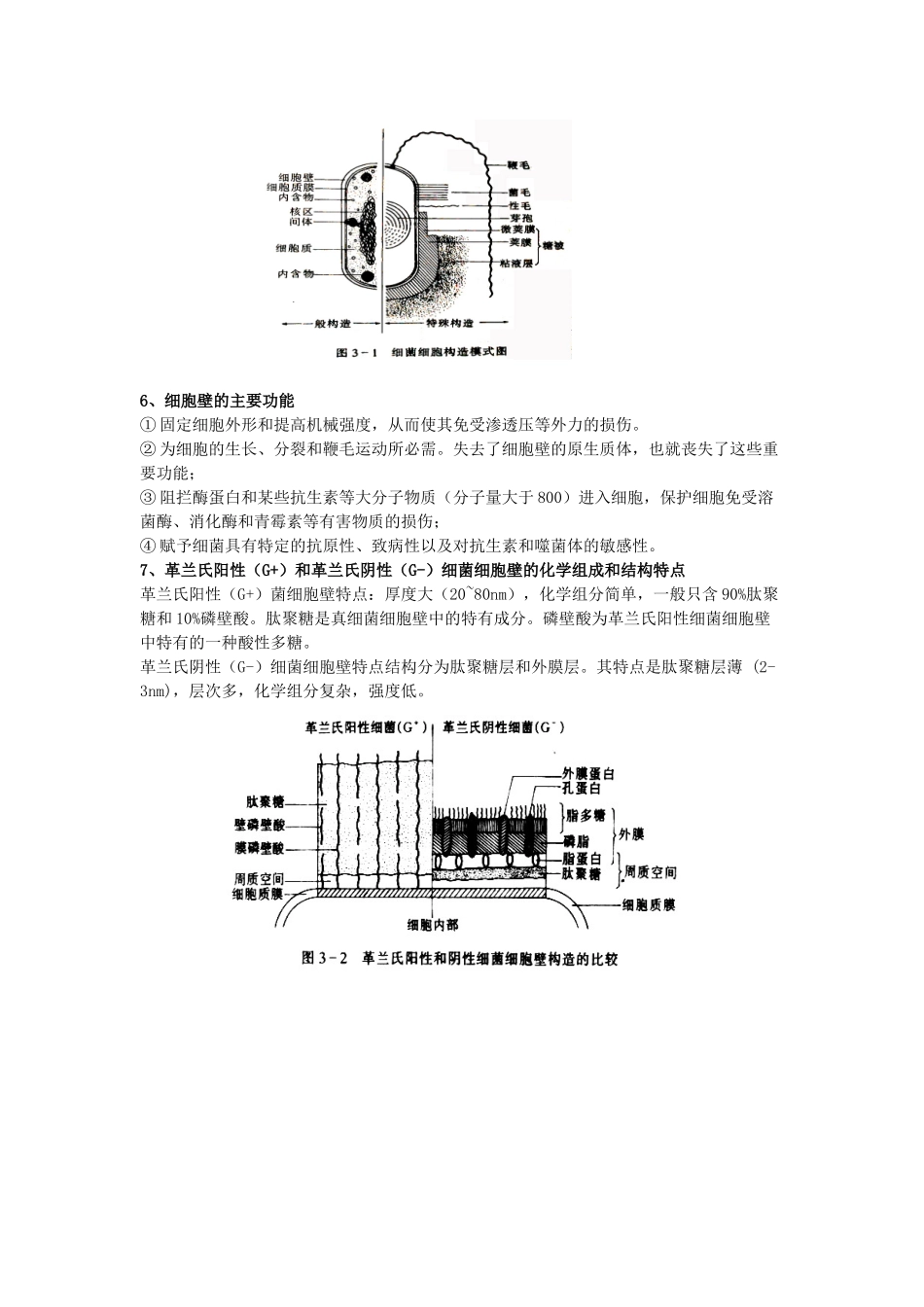 第三章微生物细胞的类群_第2页