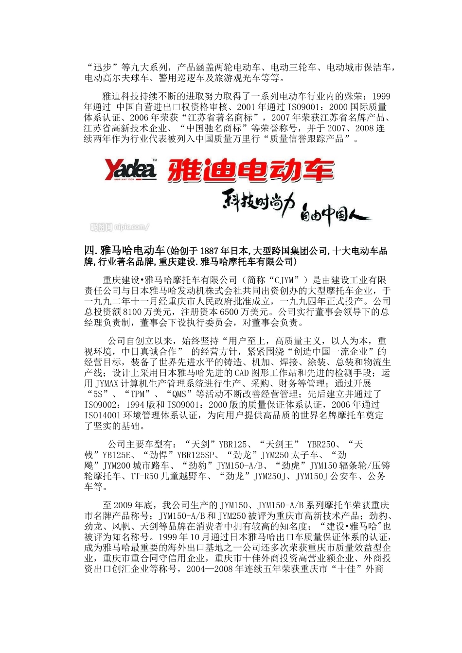 中国十大电动车品牌_第3页