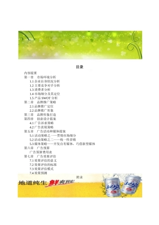 北京啤酒策划案