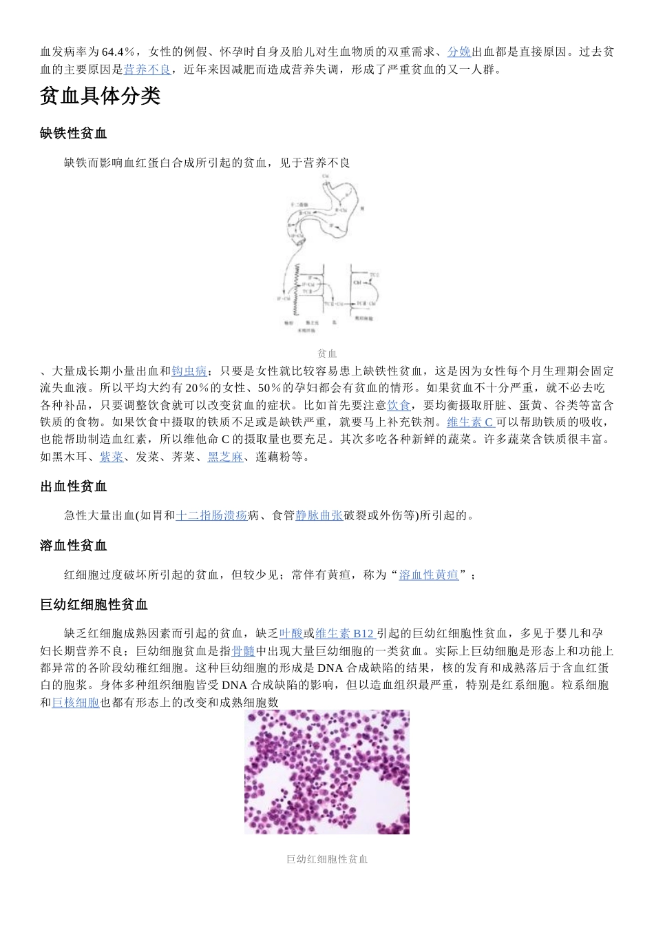 贫血全科专业资料简介_第2页