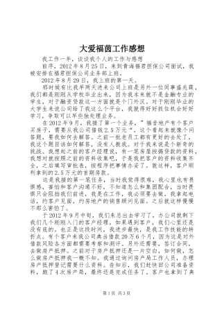 大爱福茵工作感想