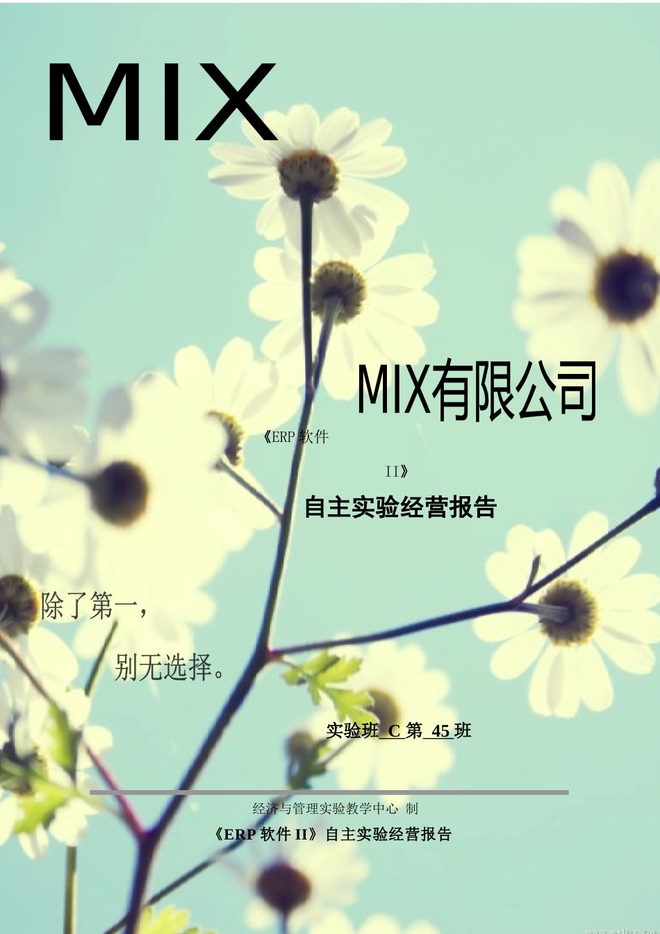 MIX公司企业经营报告_第1页